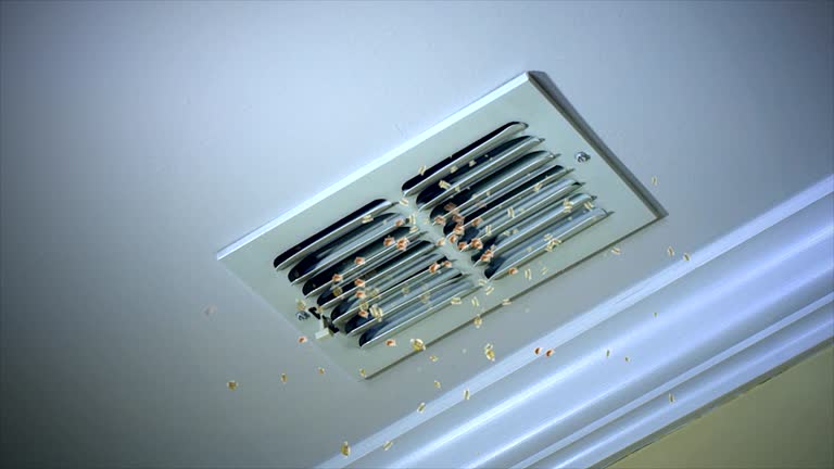 Best HVAC Duct Inspection Services  in Beaumont, TX
