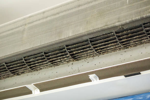 Best Air Duct Cleaning Near Me  in Beaumont, TX