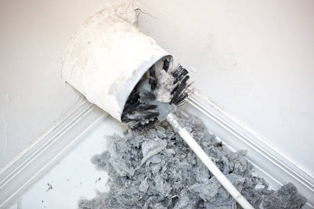 Best Dryer Vent Cleaning Services  in Beaumont, TX